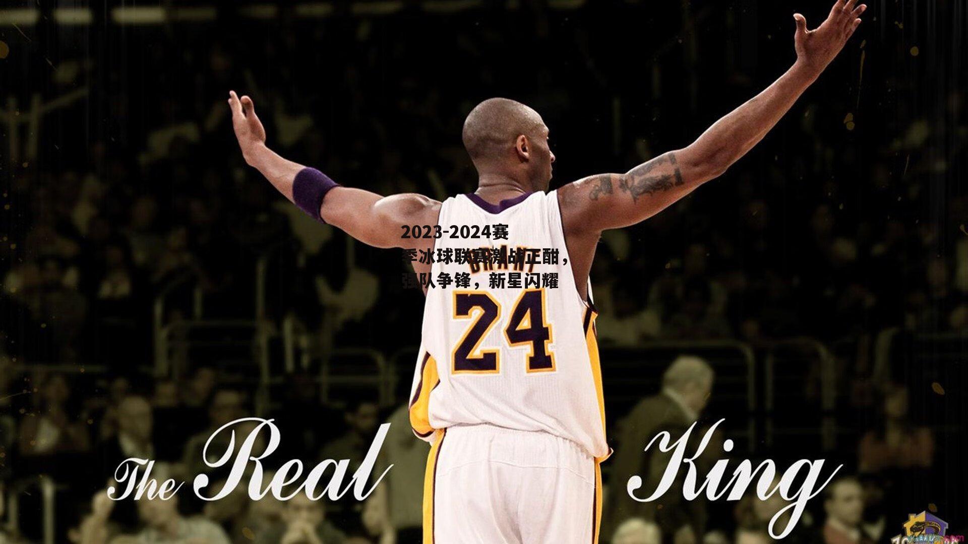 2023-2024赛季冰球联赛激战正酣，强队争锋，新星闪耀