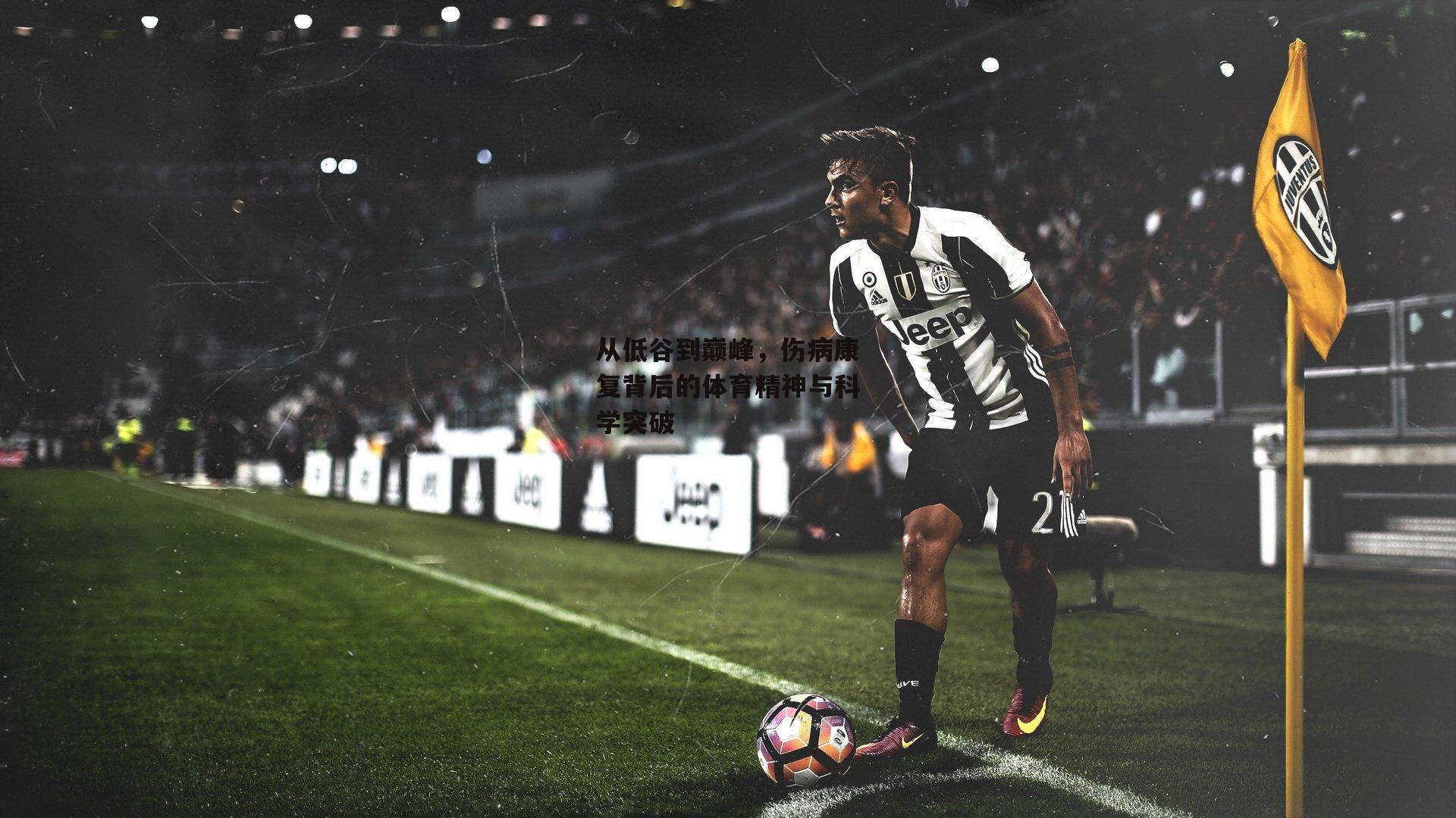 从低谷到巅峰，伤病康复背后的体育精神与科学突破